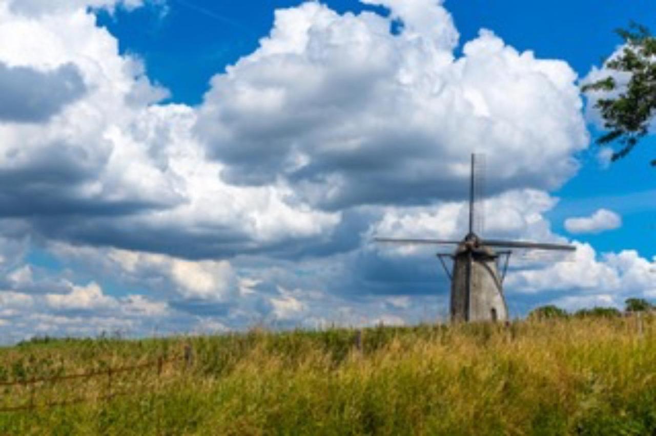 Vlaamse Ardennen Vakantiehuis Casa Caliente Met Wellness Avelgem المظهر الخارجي الصورة