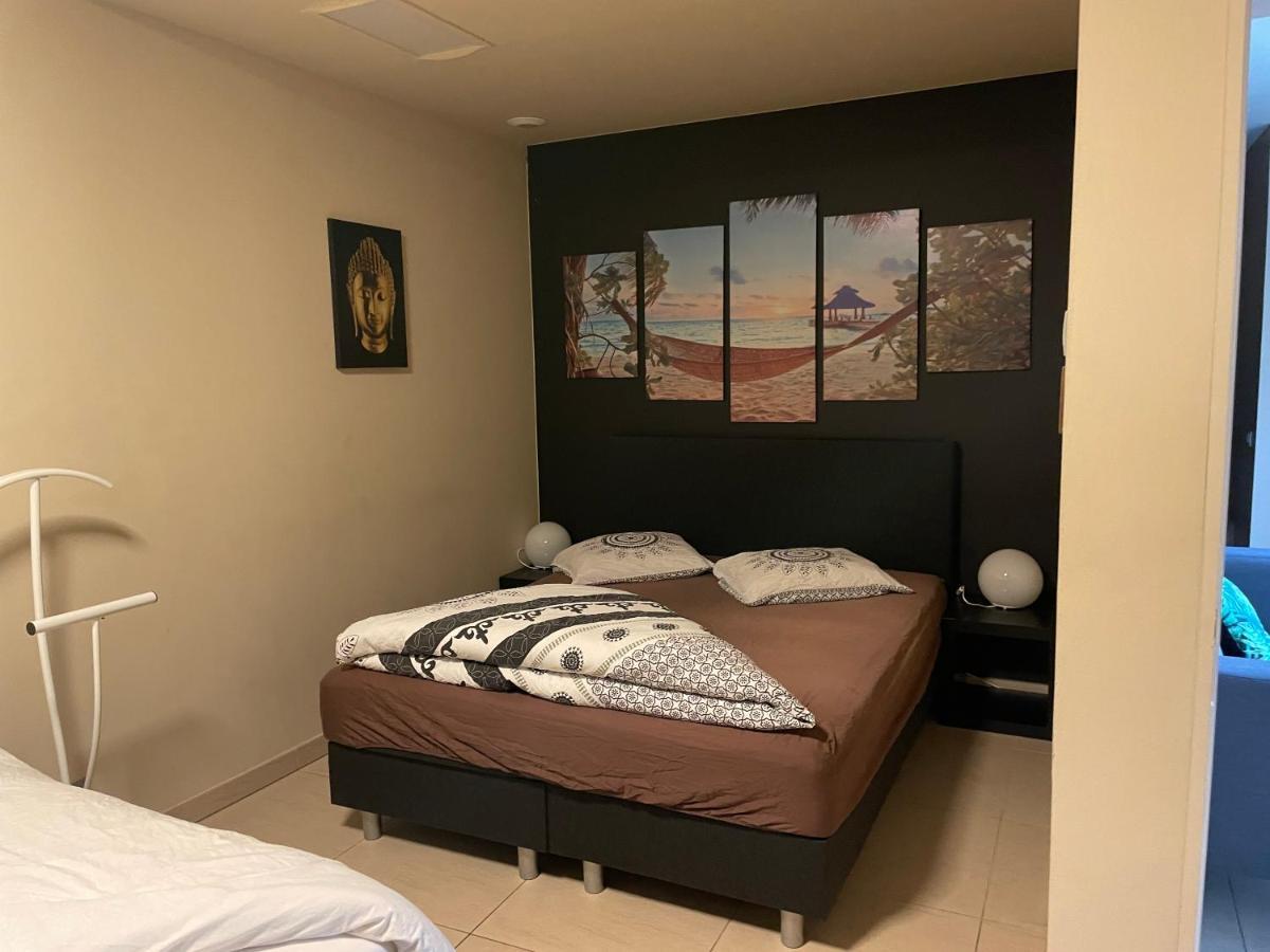 Vlaamse Ardennen Vakantiehuis Casa Caliente Met Wellness Avelgem المظهر الخارجي الصورة